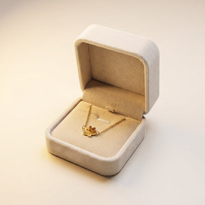 Boîte Cadeau Velours Beige